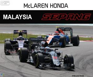 Puzzle Φερνάντο Αλόνσο, Μαλαισίας Grand Prix 2016